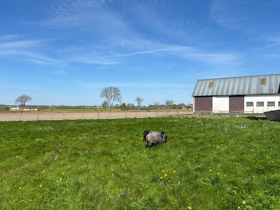 Oesterlen Oasis Spjutstorp 외부 사진